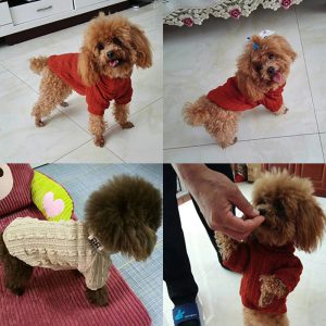 Pet Dog Cat sweter z golfem zimowe ciepłe dzianiny pies ubrania dla małe pieski Chihuahua odzież płaszcz dla szczeniaka kurtka produkty dla zwierząt domowych